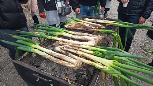 埼玉県産深谷ねぎ大収穫祭