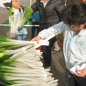 埼玉県産深谷ねぎ片手掴み放題