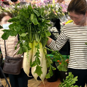 茨城県産大根片手掴み放題